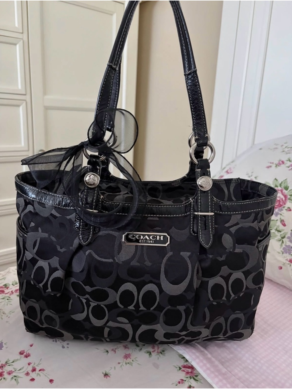 NOT SELLING LOOKING FOR A BAG (read bio please) - Picture 4 of 7